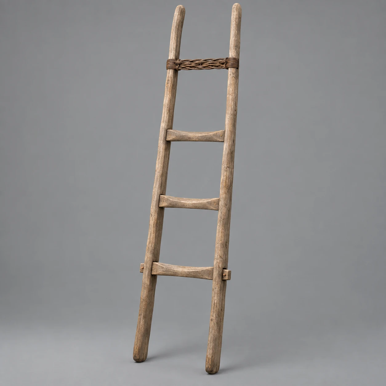 Wooden Ladder, Celtic Settlement Relics